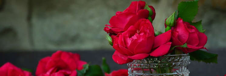 Cakes N Flower Offer